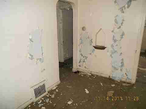 7485 American (7)_m.jpg